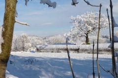 winter-view_0 (1)